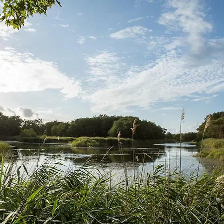 Schilfrohrsaenger 51 Fuhlendorf (Mecklenburg-Vorpommern)