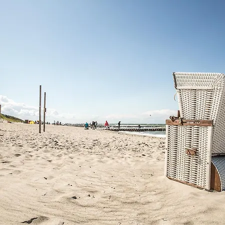 Schilfrohrsaenger 51 * Fuhlendorf (Mecklenburg-Vorpommern)