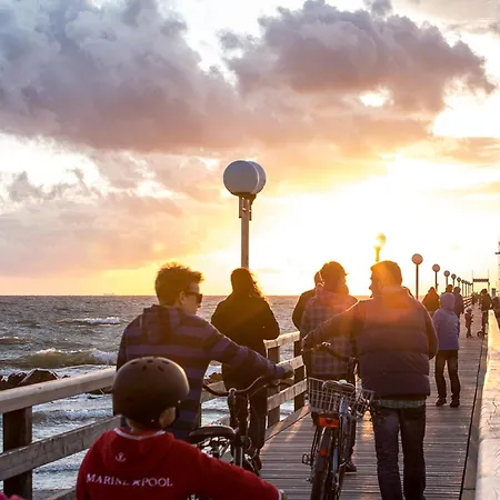 Schilfrohrsaenger 51 *