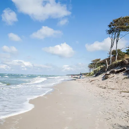 Schilfrohrsaenger 51 Fuhlendorf (Mecklenburg-Vorpommern)