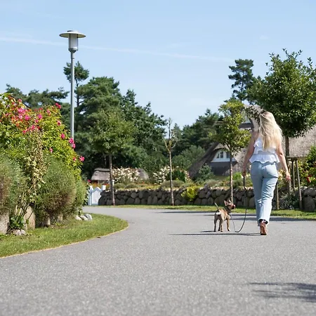 Ferienhaus Schilfrohrsaenger 51